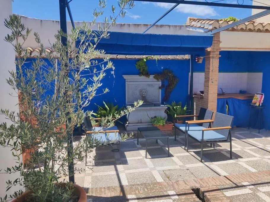 Lolas Cozy Studio غرناطة المظهر الخارجي الصورة